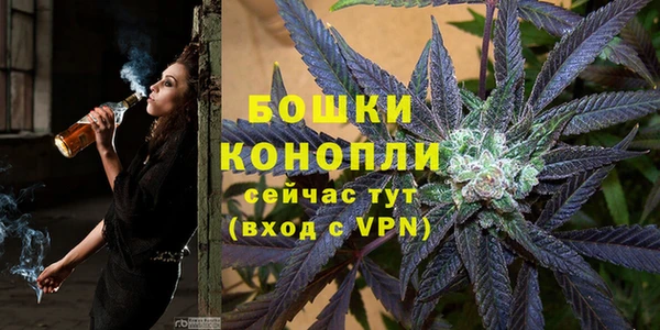 соль курить ск Бородино