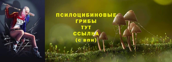 соль курить ск Бородино
