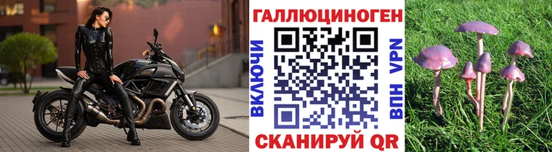 хочу наркоту  Находка  Галлюциногенные грибы ЛСД 